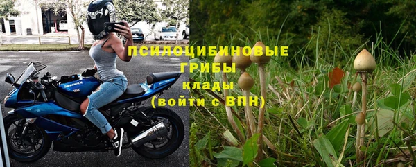 2c-b Белокуриха