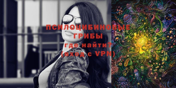 2c-b Белокуриха