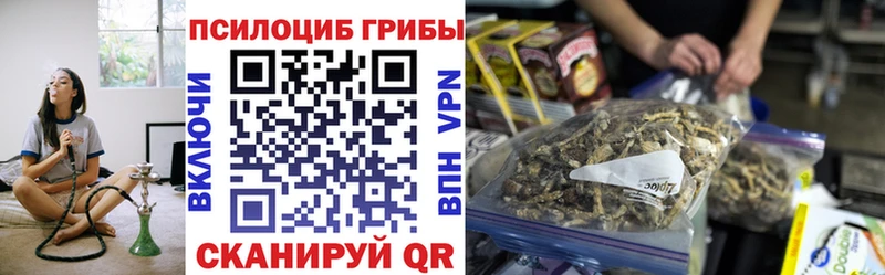 Псилоцибиновые грибы прущие грибы  Верея 