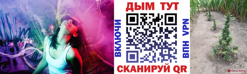 Шишки марихуана VHQ маркетплейс наркотические препараты Верея купить закладку